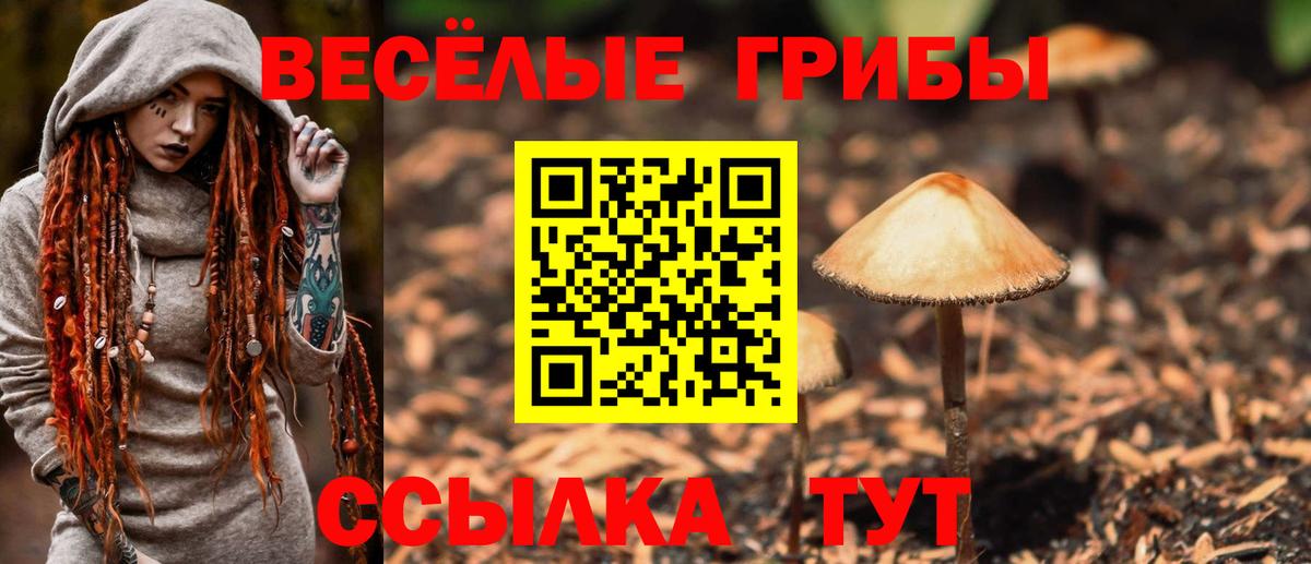 Галлюциногенные грибы ЛСД  Вход с VPN  Галлюциногенные грибы Psilocybe  Заволжье 